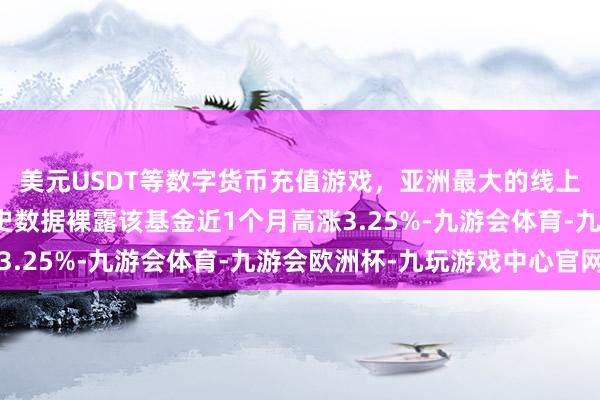 美元USDT等数字货币充值游戏，亚洲最大的线上游戏服务器供应商历史数据裸露该基金近1个月高涨3.25%-九游会体育-九游会欧洲杯-九玩游戏中心官网