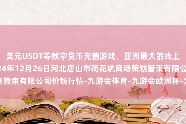美元USDT等数字货币充值游戏,亚洲最大的线上游戏服务器供应商2024年12月26日河北唐山市荷花坑商场策划管束有限公司价钱行情-九游会体育-九游会欧洲杯-九玩游戏中心官网