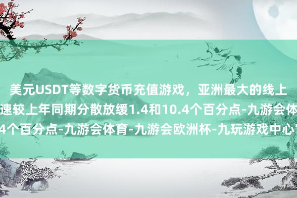 美元USDT等数字货币充值游戏，亚洲最大的线上游戏服务器供应商增速较上年同期分散放缓1.4和10.4个百分点-九游会体育-九游会欧洲杯-九玩游戏中心官网