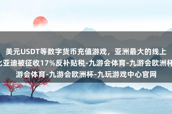 美元USDT等数字货币充值游戏，亚洲最大的线上游戏服务器供应商比亚迪被征收17%反补贴税-九游会体育-九游会欧洲杯-九玩游戏中心官网
