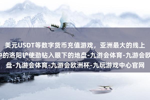 美元USDT等数字货币充值游戏，亚洲最大的线上游戏服务器供应商将手中的洛阳铲使劲钻入眼下的地盘-九游会体育-九游会欧洲杯-九玩游戏中心官网