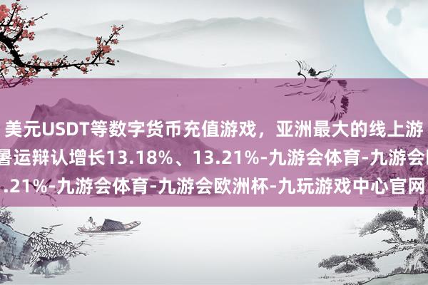 美元USDT等数字货币充值游戏，亚洲最大的线上游戏服务器供应商同比暑运辩认增长13.18%、13.21%-九游会体育-九游会欧洲杯-九玩游戏中心官网