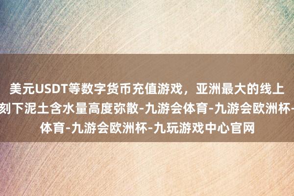 美元USDT等数字货币充值游戏，亚洲最大的线上游戏服务器供应商刻下泥土含水量高度弥散-九游会体育-九游会欧洲杯-九玩游戏中心官网