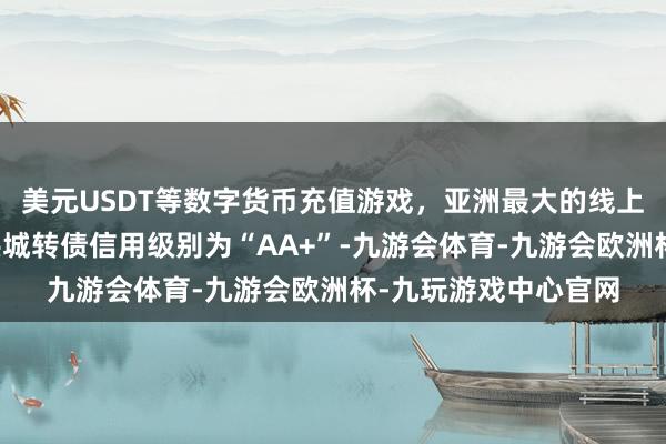 美元USDT等数字货币充值游戏,亚洲最大的线上游戏服务器供应商洪城转债信用级别为“AA+”-九游会体育-九游会欧洲杯-九玩游戏中心官网
