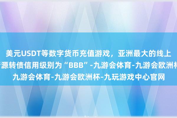 美元USDT等数字货币充值游戏，亚洲最大的线上游戏服务器供应商芳源转债信用级别为“BBB”-九游会体育-九游会欧洲杯-九玩游戏中心官网