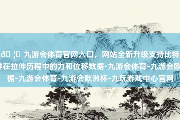🦄九游会体育官网入口，网站全新升级支持比特币简略实时纪录试样在拉伸历程中的力和位移数据-九游会体育-九游会欧洲杯-九玩游戏中心官网