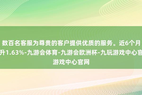 数百名客服为尊贵的客户提供优质的服务。近6个月上升1.63%-九游会体育-九游会欧洲杯-九玩游戏中心官网