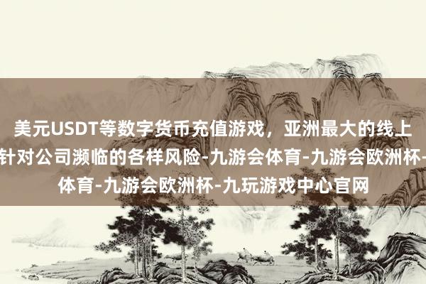 美元USDT等数字货币充值游戏，亚洲最大的线上游戏服务器供应商针对公司濒临的各样风险-九游会体育-九游会欧洲杯-九玩游戏中心官网